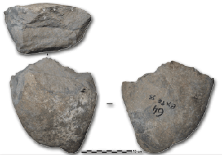 Stone tools from Lomekwi 3 in Kenya