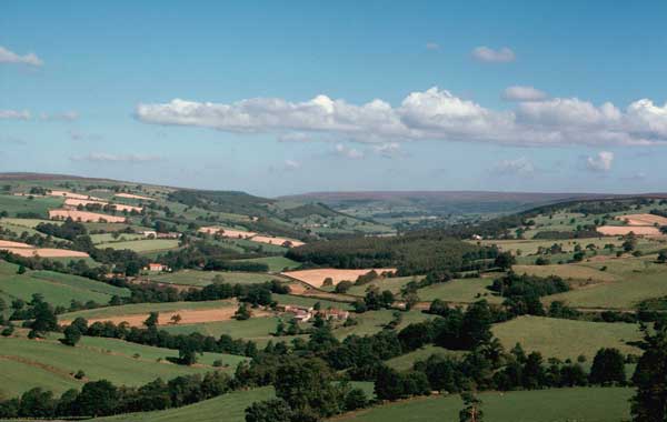 View north from Corbridge