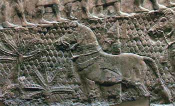Assyrian cavalryman and mount, in a landscape of vine-covered hills