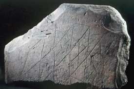 Engraved Stones from Skara Brae