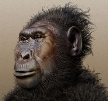 Paranthropus boisei.Forensic Reconstruction