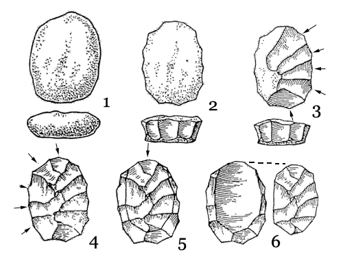 Stages in the production of a ‘classic’ Levallois core (from Paul Mellars, 1996)